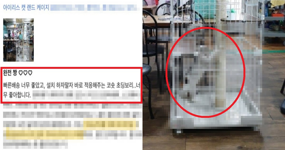 ecbfa0ed8ca1ec8db8.png?resize=412,275 - "지금 내가 뭘 본거지??"...커뮤니티서 난리 난, 쿠팡에서 발견 된 '충격' 리뷰