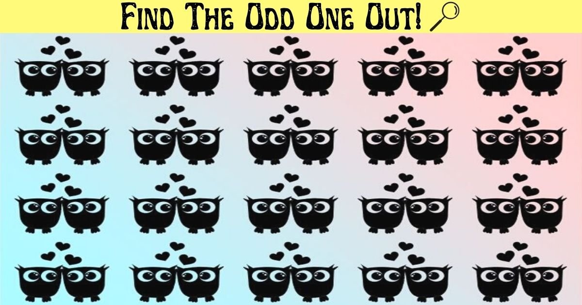 find the odd one out 1.jpg?resize=1200,630 - Only Eagle-Eyed Viewers Can Spot The Odd One Out! How About You?