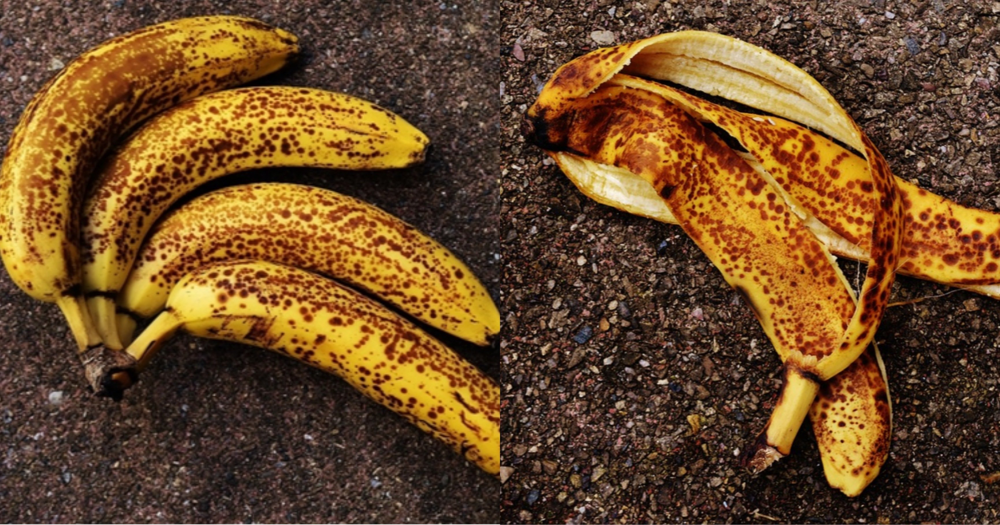 kakaotalk 20211109 222136610.jpg?resize=1200,630 - 사람들이 모르고 먹고 있는 '검은 반점이 있는 바나나'를 먹게 되면 우리 몸에 일어나는 변화