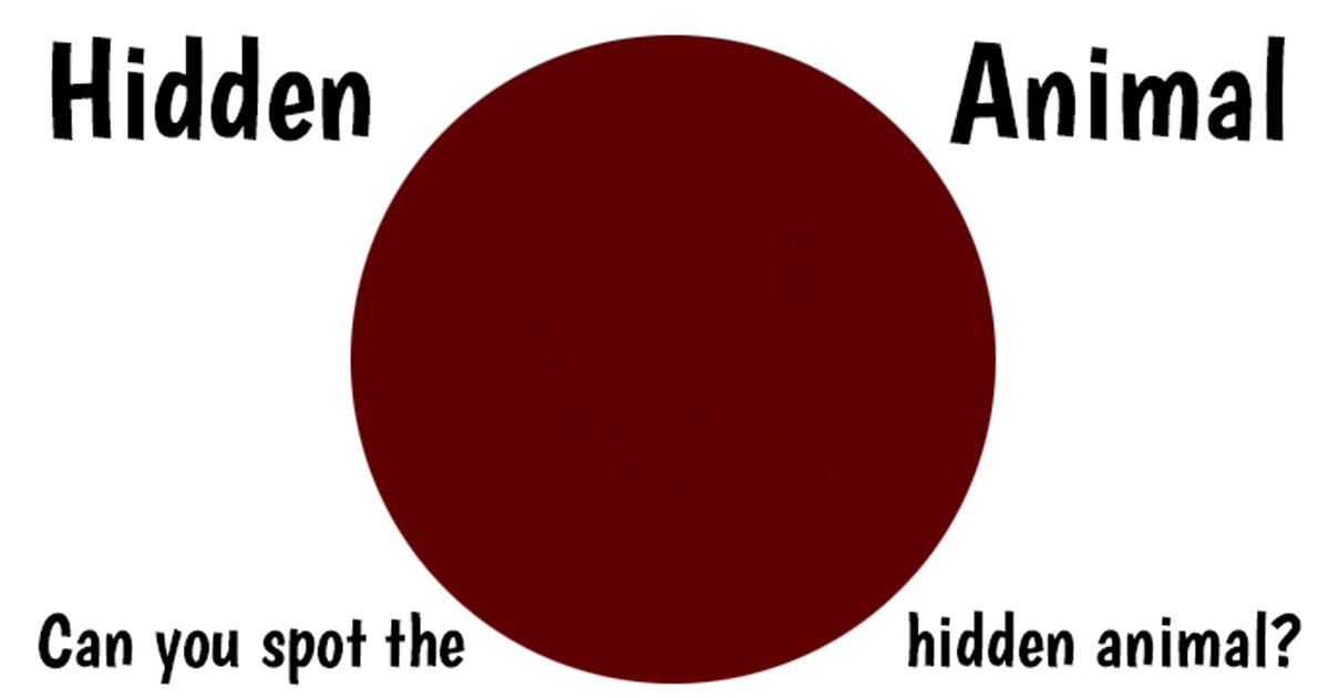 q4 11.jpg?resize=412,232 - How Fast Can You Put Your Vision To The Test And Find The Hidden Animal?