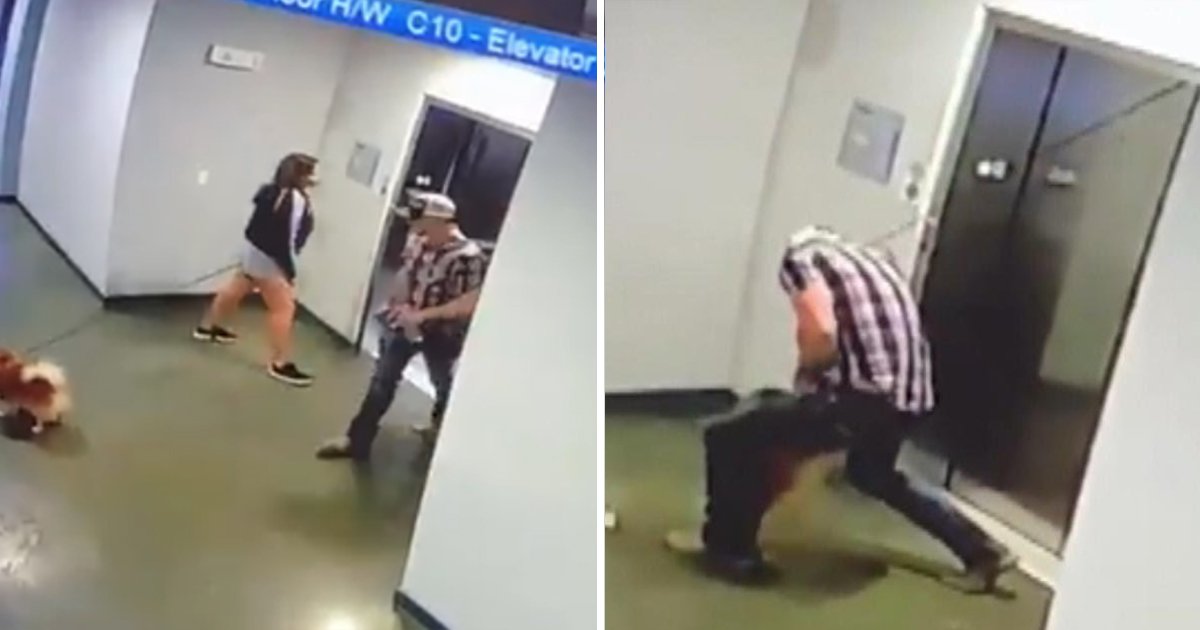 q8 6.jpg?resize=1200,630 - Heart Melting Moment As Man Rushes To Save Dog Whose Leash Gets Trapped In Elevator