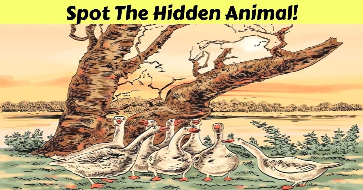 spot the hidden animal.jpg?resize=412,275 - Can You Spot The Hidden Predator In This Picture? 90% Of People Couldn’t Find The Beast!