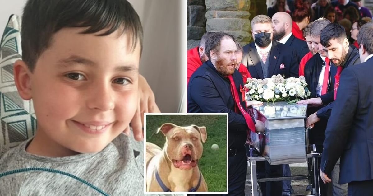 untitled design 81.jpg?fit=1024%2C538&ssl=1&strip=all - 10-Year-Old Boy Who Was Mauled To Death By A Dog At His Friend’s Home Has Now Been Laid To Rest