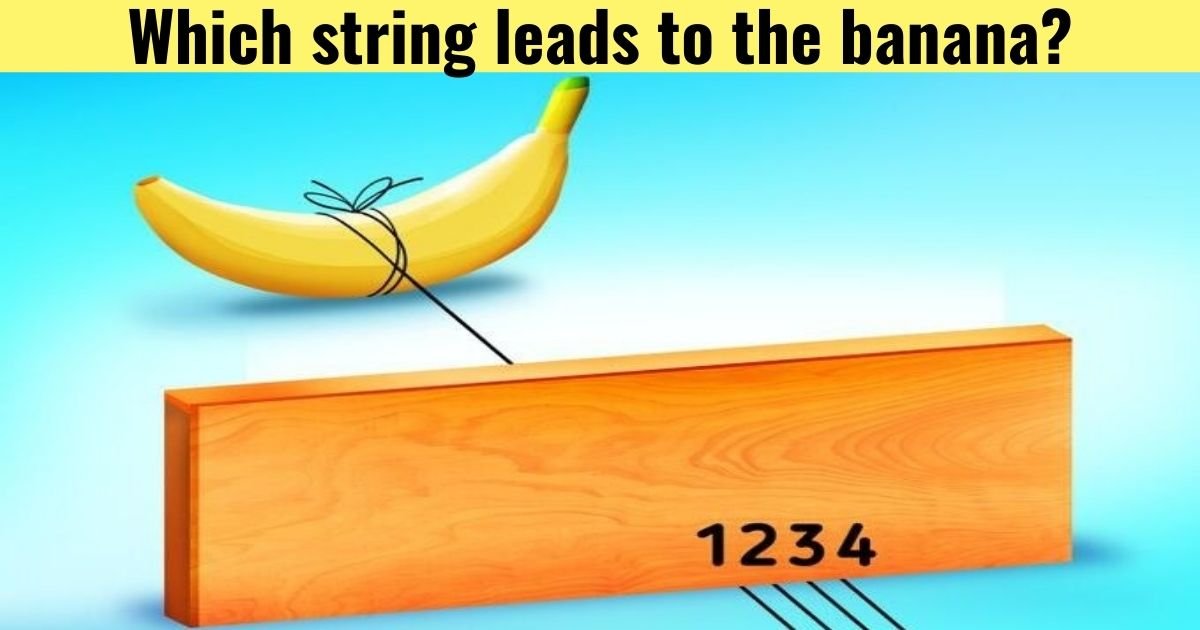 which string leads to the banana.jpg?resize=1200,630 - High IQ Test Leaves People Baffled - But Can You Give Us The Correct Answer?