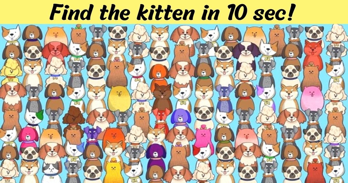 add a heading.jpg?resize=1200,630 - There Is A Cat Hiding Among The Dogs In This Picture - Find It!