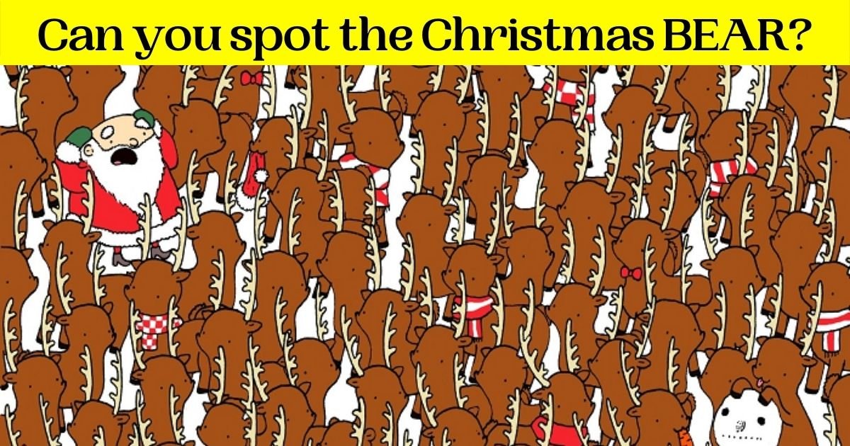 bear3.jpg?resize=1200,630 - 9 Out Of 10 Can't Spot The Christmas BEAR Among The Reindeer! But Can You Find It?