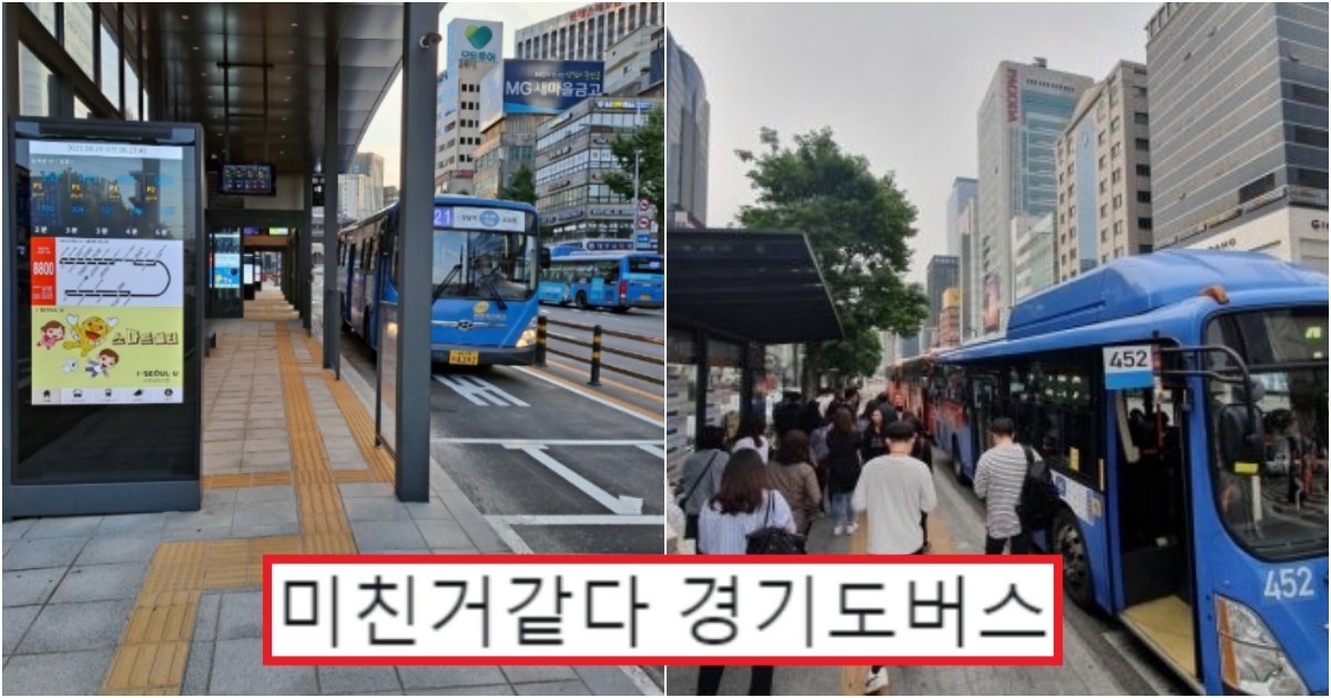 collage 134.jpg?resize=412,275 - 나약하다 못해 당하기 싫으면 '서울인들' 경기 버스 탈 때 명심하고 꼭 해야 하는 행동