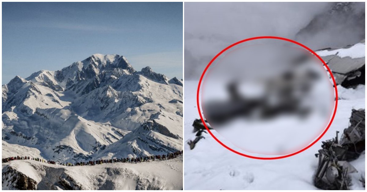 collage 39.png?resize=1200,630 - "55년 전 알프스산맥에 추락한 비행기에서 나온 'XX이 잔뜩 든 상자'를 발견했습니다"