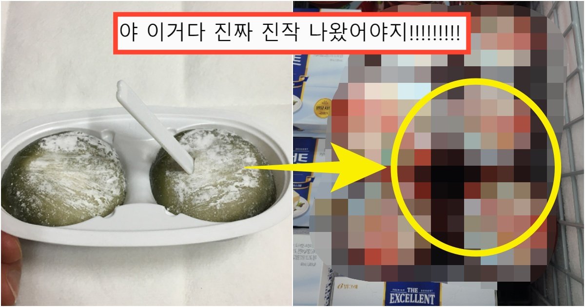 collage 438.jpg?resize=412,275 - "드디어 출시" 우리가 알던 '찰떡 아이스'가 이제 이렇게 나온다는 충격적인 소식