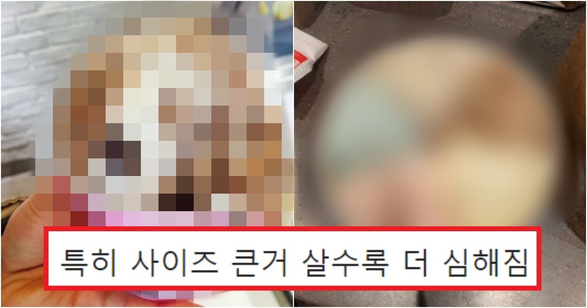 collage 471.jpg?resize=412,275 - '아 돈 아까워' 의외로 큰 기대하고 먹었다가 실망감으로 가득 찬 사람들의 '이 것'