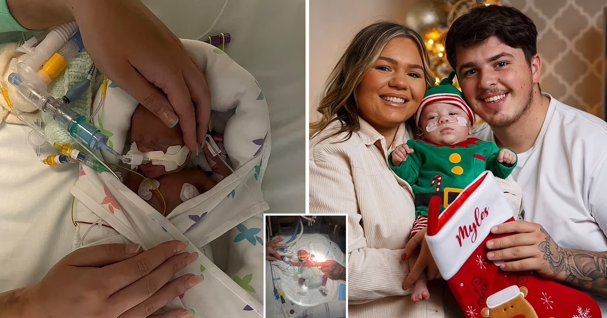 d110.jpg?resize=412,275 - Parents' Joy As Baby Who Was Born The Size Of An iPhone Spends First Christmas At Home
