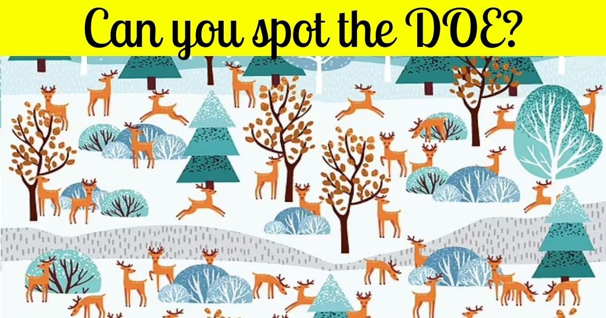 doe3.jpg?resize=1200,630 - 9 Out Of 10 People Can't Spot The Lone DOE In This Christmas Inspired Scene! But Can You Find It?