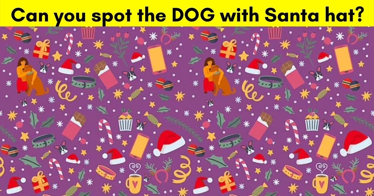 dog3.jpg?resize=412,275 - 9 Out Of 10 Viewers Can't Spot The Only DOG With A Santa Hat In This Festive-Themed Puzzle! But Can You Find It?