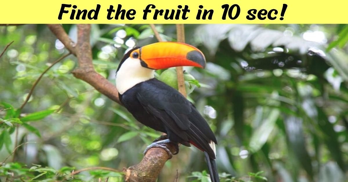 find the fruit in 10 sec.jpg?resize=1200,630 - 9 In 10 People Couldn't Spot The Hidden Fruit In This Photo! Can You Beat The Odds?