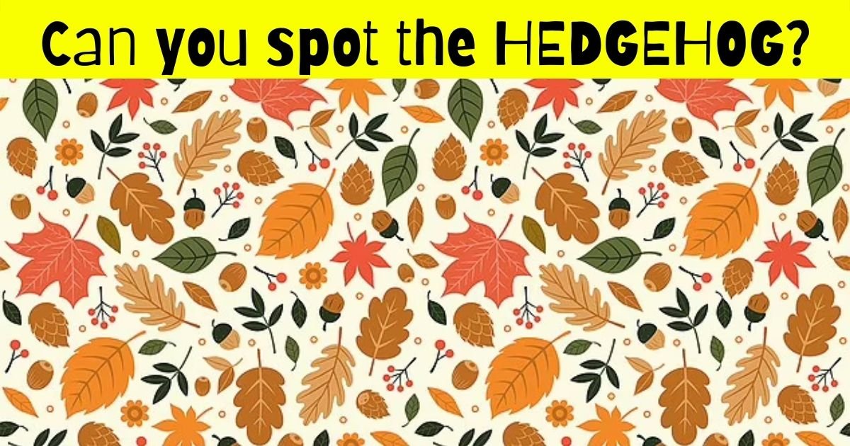 hedgehog4.jpg?resize=1200,630 - 9 Out Of 10 People Can't Spot The Happy HEDGEHOG In This Picture! But Can You Find It?