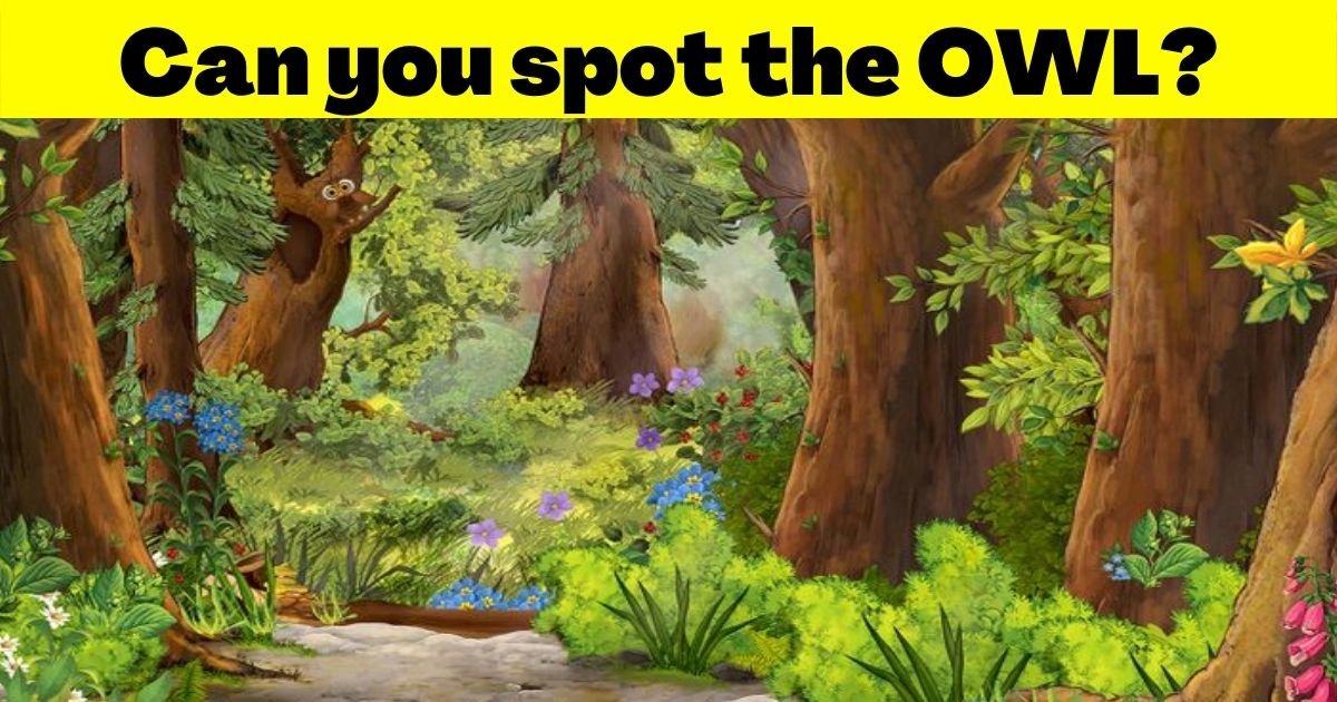 owl4.jpg?resize=412,275 - 9 Out Of 10 Viewers Can't Spot The OWL Hiding In The Forest! But Can You Find It?