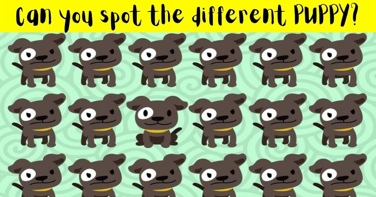 pupy3.jpg?resize=412,275 - 9 Out Of 10 People Can't Spot The Different Puppy In This Picture! But Can You Find The Odd One Out?