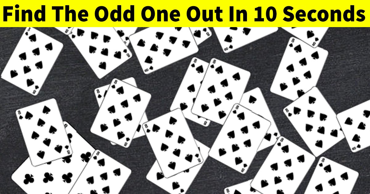q6 1 2.jpg?fit=1024%2C538&ssl=1&strip=all - Visual Test | Do You Have What It Takes To Beat The Best?