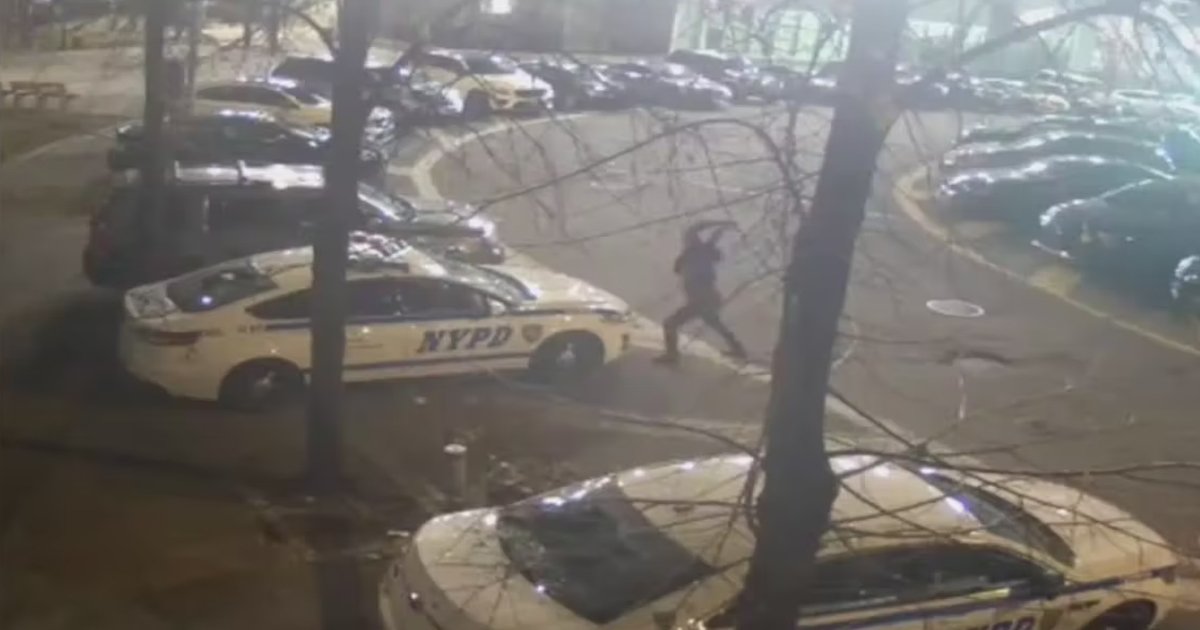 q7 8.jpg?resize=1200,630 - Vandal Caught SMASHING Windows Of Several NYPD Cop Cars Outside Bronx