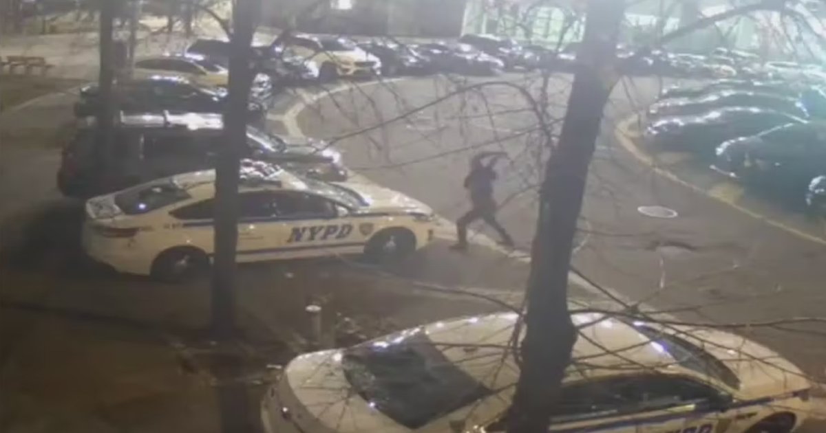 q7 8.jpg?resize=412,275 - Vandal Caught SMASHING Windows Of Several NYPD Cop Cars Outside Bronx