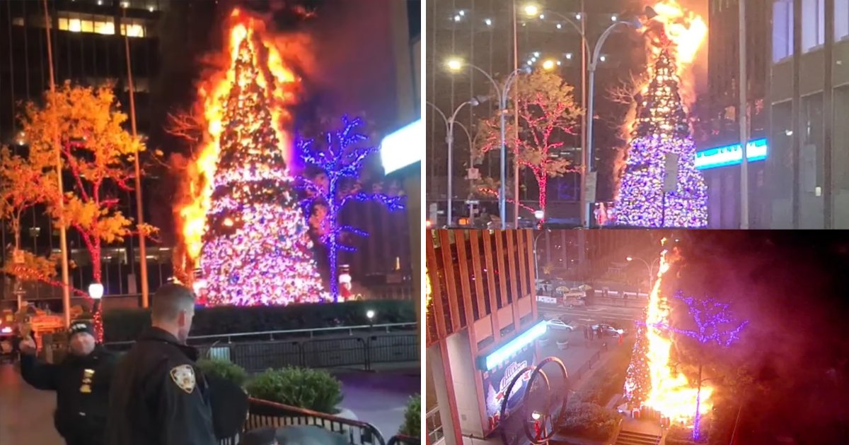 t1 3 1.jpg?resize=1200,630 - BREAKING NEWS: 50ft Iconic Christmas Tree Near Times Square BURNS To Ashes After Being Torched By Homeless Man