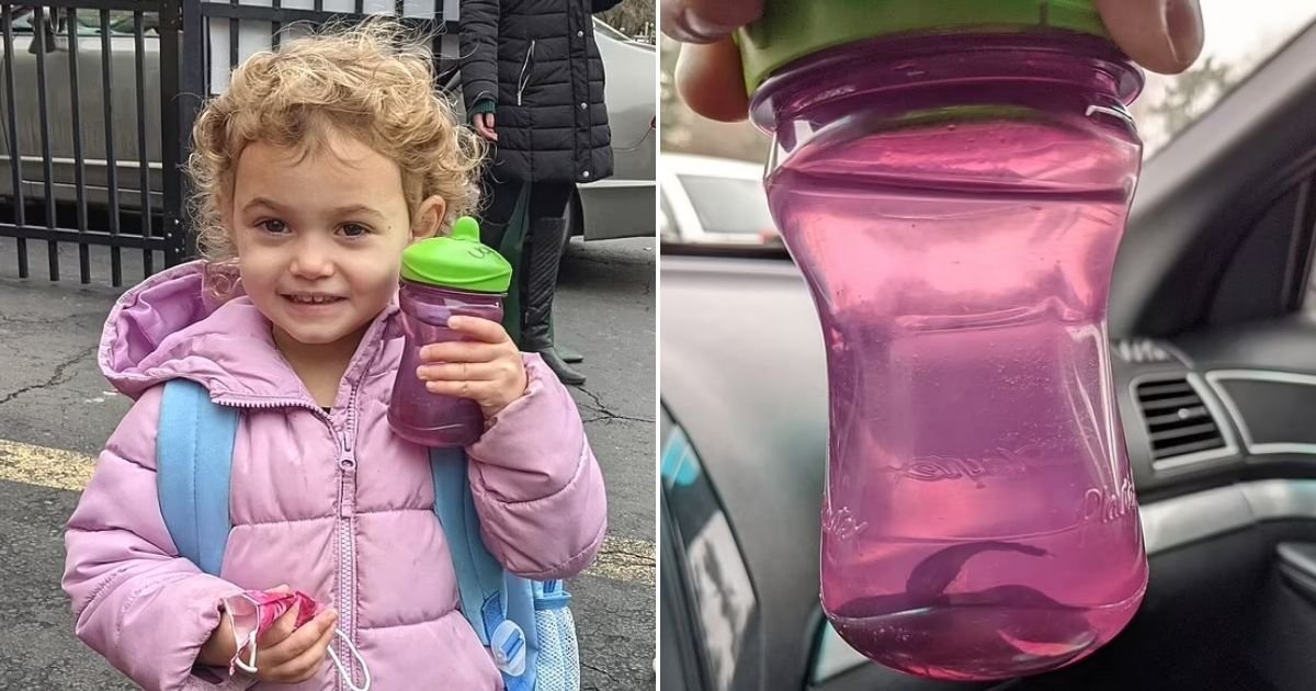 untitled design 33 1.jpg?resize=1200,630 - Parents Receive An Alarming Call From Teachers After They Spotted A FISH Swimming In Their 3-Year-Old Girl’s Cup