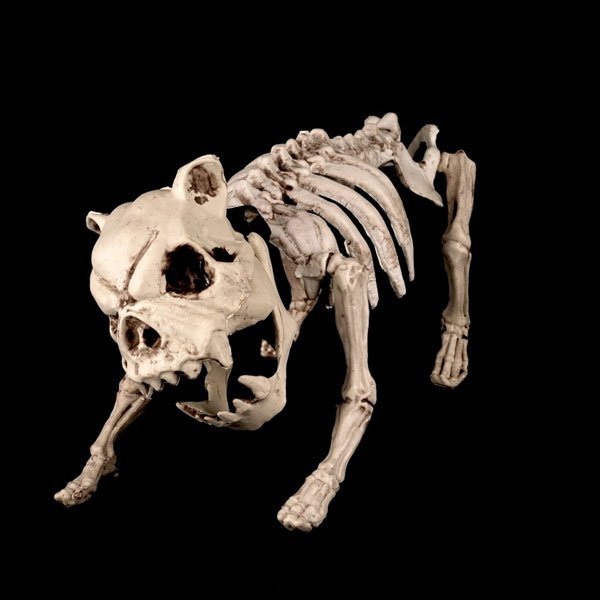 도그스켈레톤/ 뼈모형 동물뼈 호러 할로윈소품 장식 - 인터파크