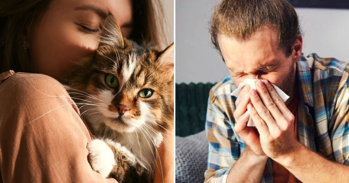 cat5 1.jpg?resize=412,232 - 33-Year-Old Man Gives His Partner A Two-Month ULTIMATUM – Him Or The Cat She Had Just Adopted
