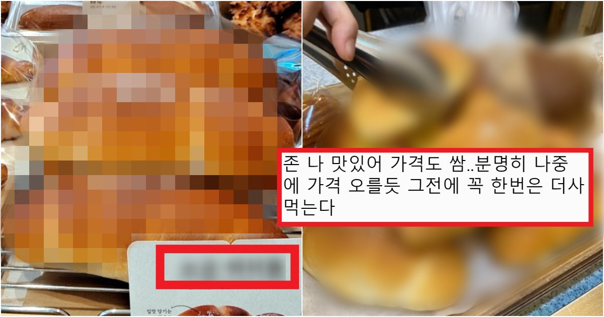 collage 169.png?resize=412,275 - 뚜레쥬르가 인기가 없었다가 요즘 멱살잡고 완전 제대로 이끌고 있는 '이 빵'의 정체