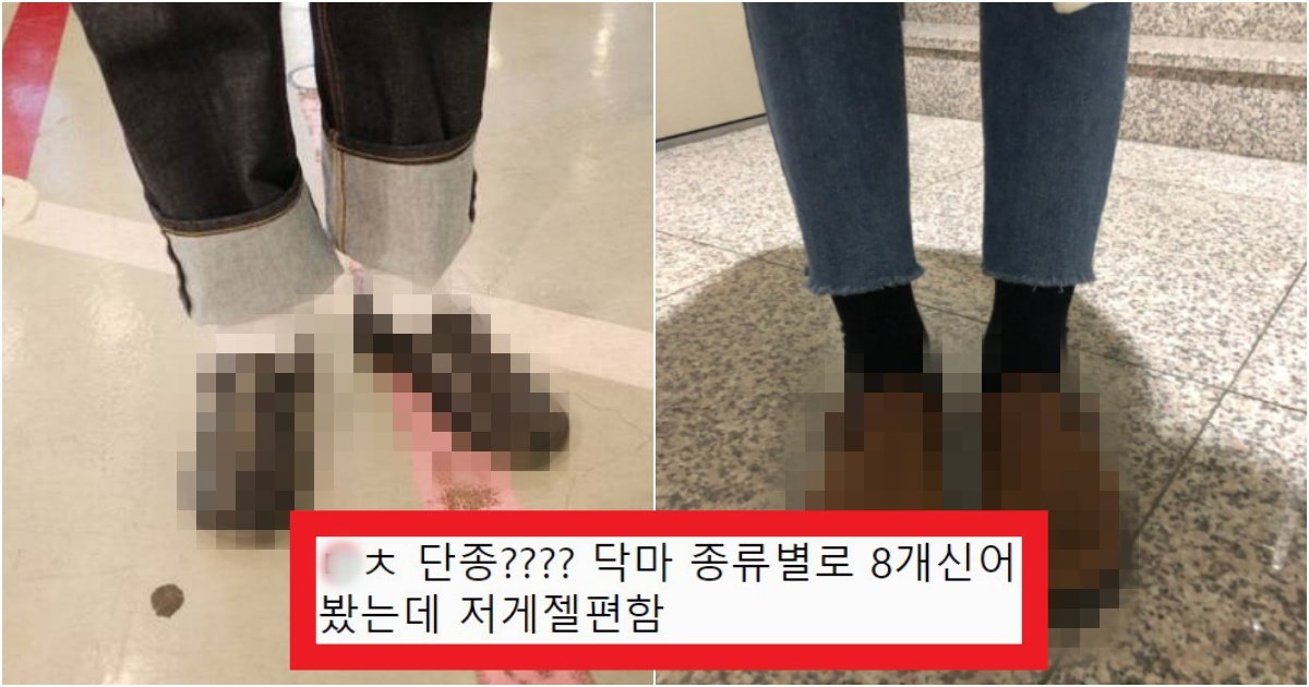 collage 195.jpg?resize=412,275 - '이거 완전 예쁜데???' 도대체 왜 단종시켜버린지 이해가 안 가는 닥터마틴 신발