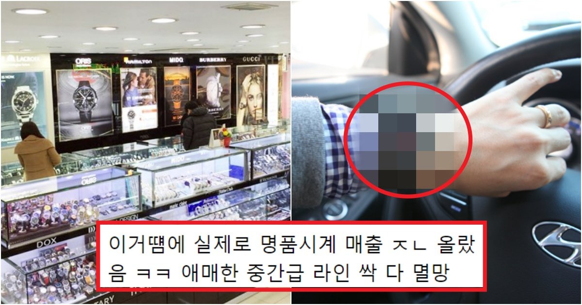 collage 235.jpg?resize=412,275 - '그거 얼마짜리야??' 어중간한 시계 차지 말고 가성비 좋은 시계 차라는 이유