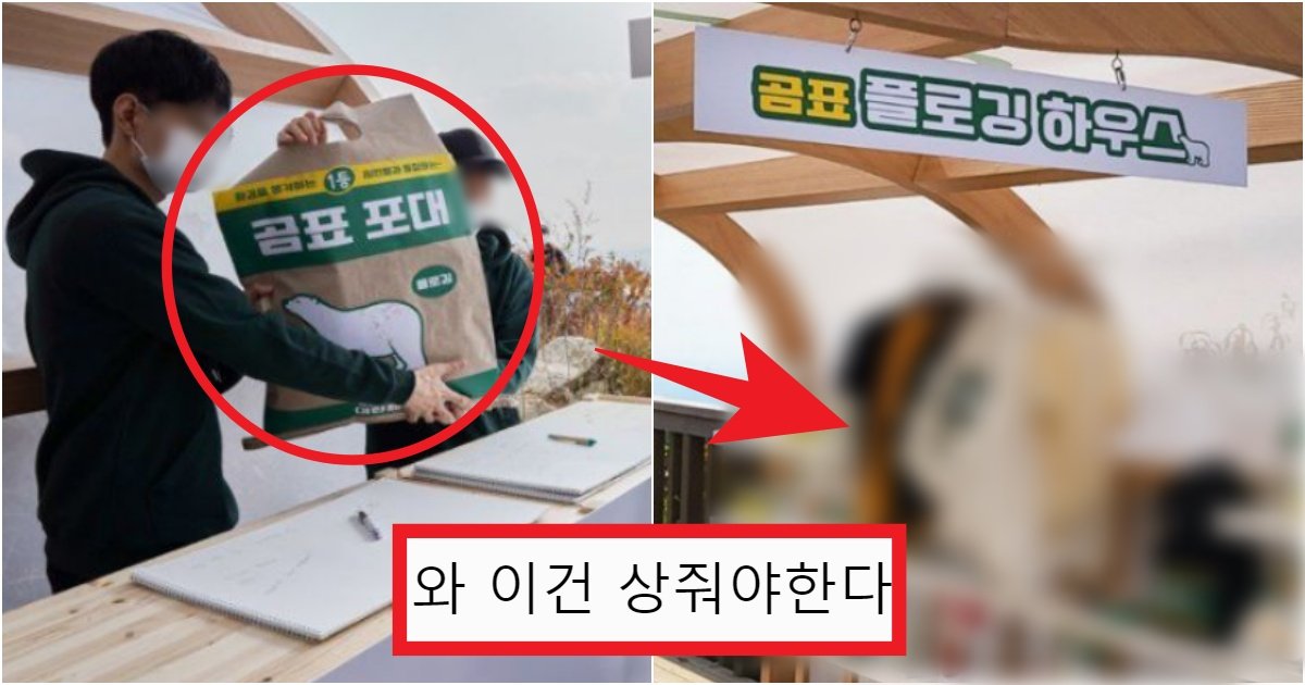 collage 289.jpg?resize=412,275 - '어떻게 이런 생각을 해??' 곰표에서 진짜 상상도 못한 '품절 굿즈 마케팅' 수준