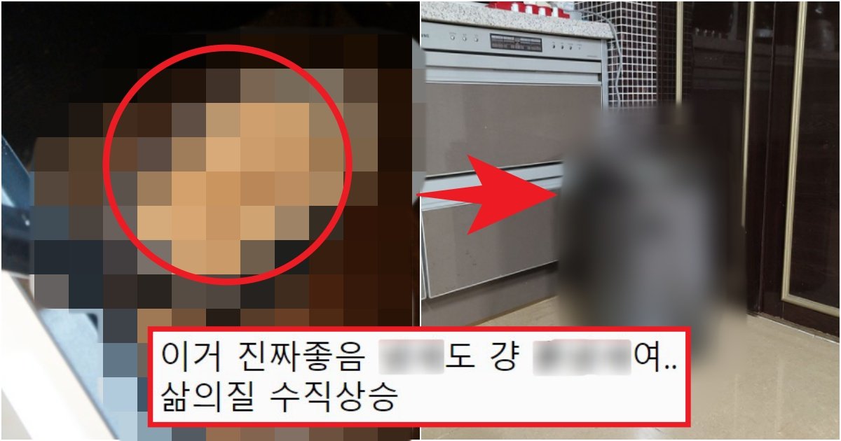 collage 290.jpg?fit=1024%2C538&ssl=1&strip=all - '너무 늦게 떴다...' 요즘 진짜 제대로 인기가 많아져 버린 가전제품 top1