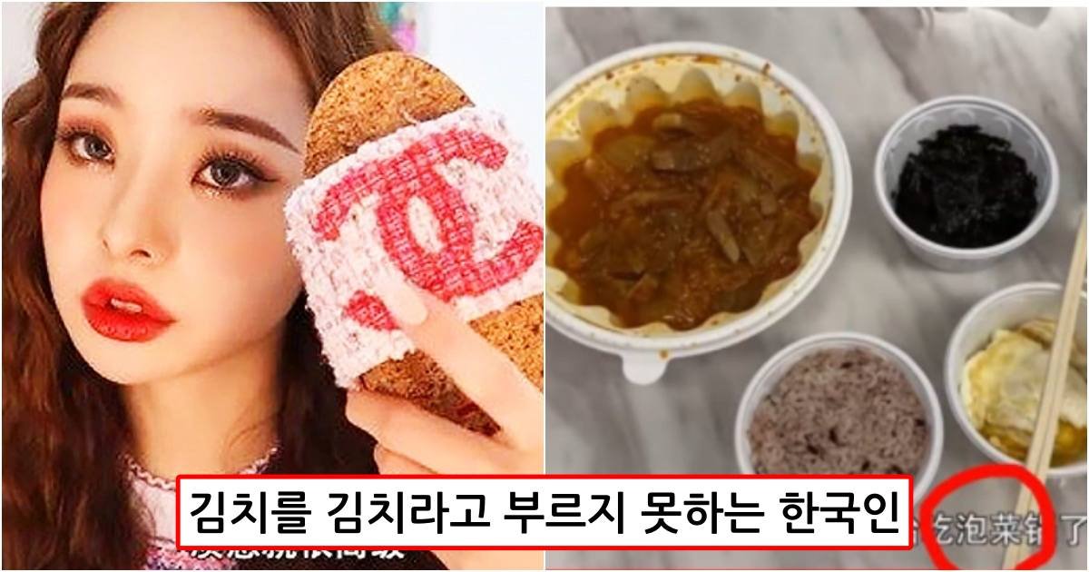 collage 363.jpg?resize=1200,630 - 프리지아 유튜브에서 중국인들에게 김치찜을 소개할때 이렇게 말함