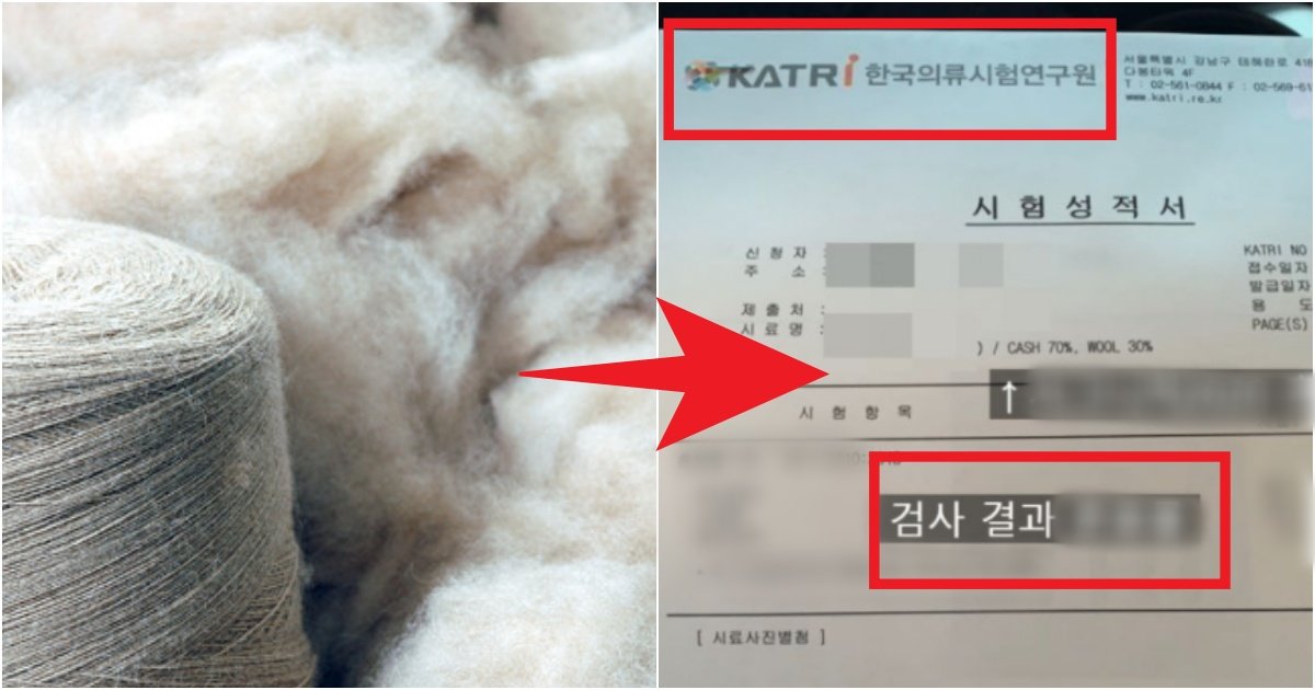 collage 37.jpg?fit=1024%2C538&ssl=1&strip=all - "캐시미어 촉감이 너무 이상해서 의구감이 들어 성분분석 의뢰했는데 충격이네요.."