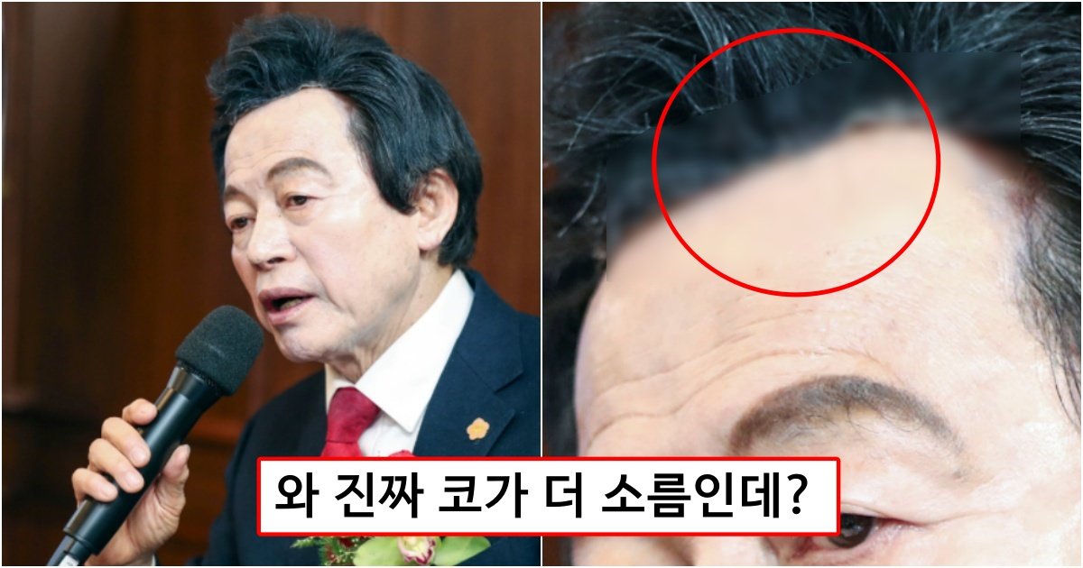 collage 490.jpg?resize=412,275 - "허경영 후보사진 컬러 조정하다 깜놀함.. 이게 뭐야??"