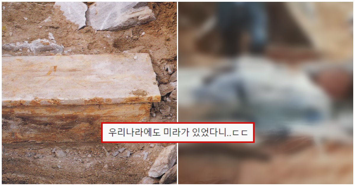collage 9.png?resize=412,232 - "해외 언론에서도 난리" 한국에서 발견된 185cm '미라'가 가지고 있던 충격적인 비밀