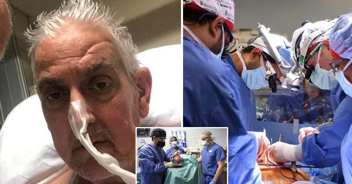 d39.jpg?resize=412,275 - BREAKING: Historic Moment In The World Of Medicine As Surgeons SUCCESSFULLY Transplant 'Pig's Heart' Into Human