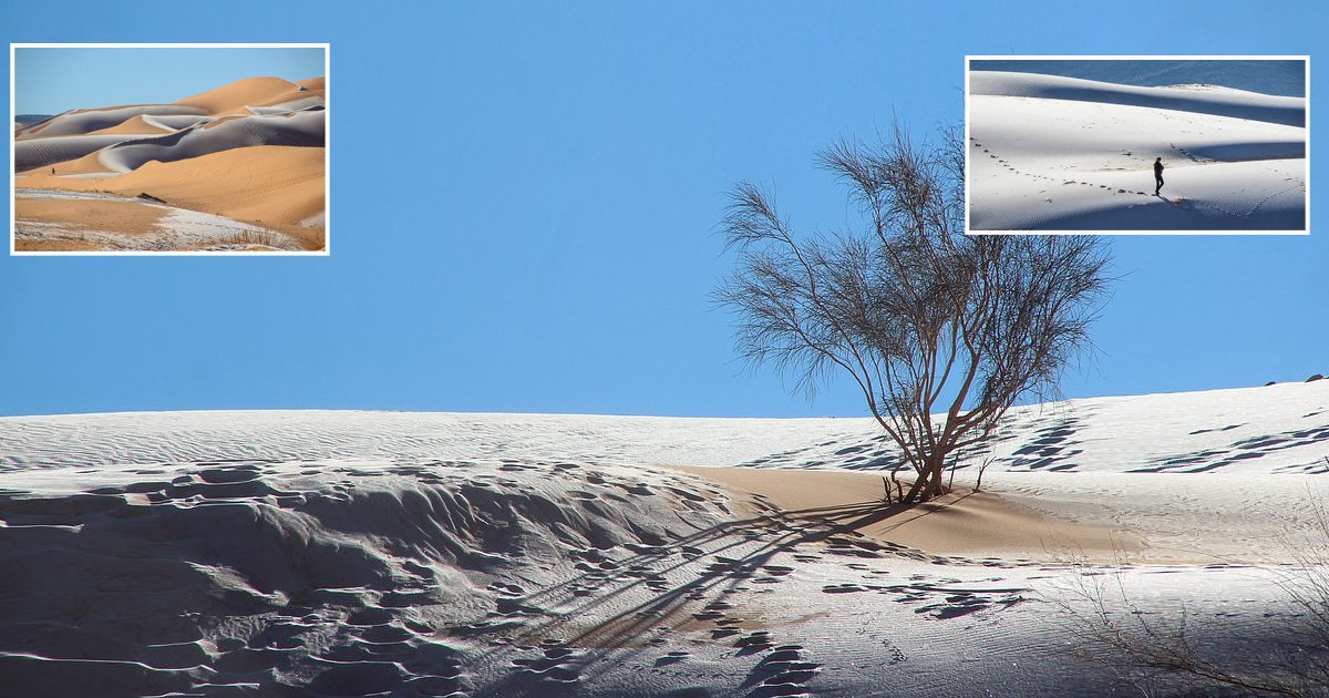 d61.jpg?resize=1200,630 - SNOW Settles Down On The Sand Of The Sahara Desert As Temperatures DROPPED Below Freezing
