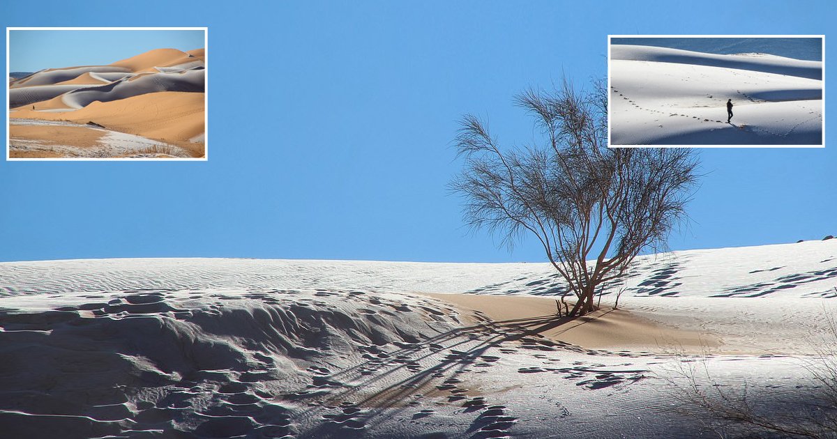 d61.jpg?resize=412,275 - SNOW Settles Down On The Sand Of The Sahara Desert As Temperatures DROPPED Below Freezing