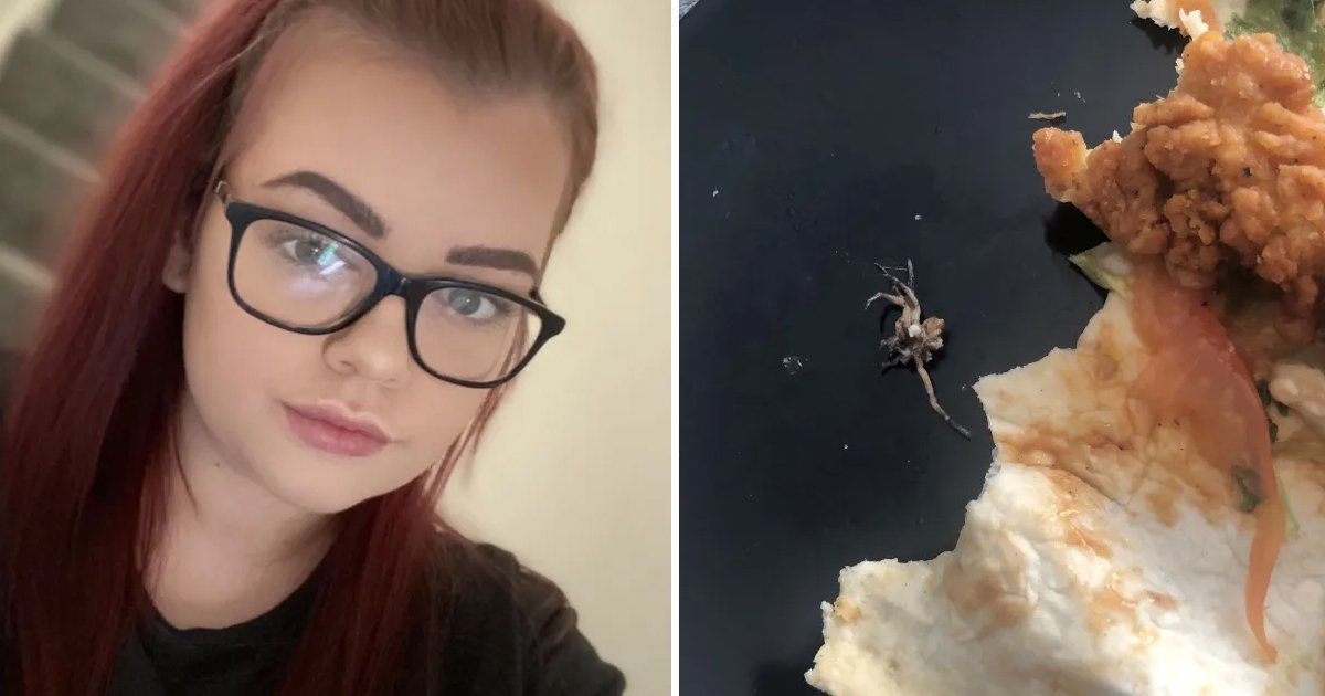 d91.jpg?resize=412,275 - "I'll NEVER Be Eating There Again!"- Woman Left Gagging After McDonald's Wrap Features 'Live' Surprise