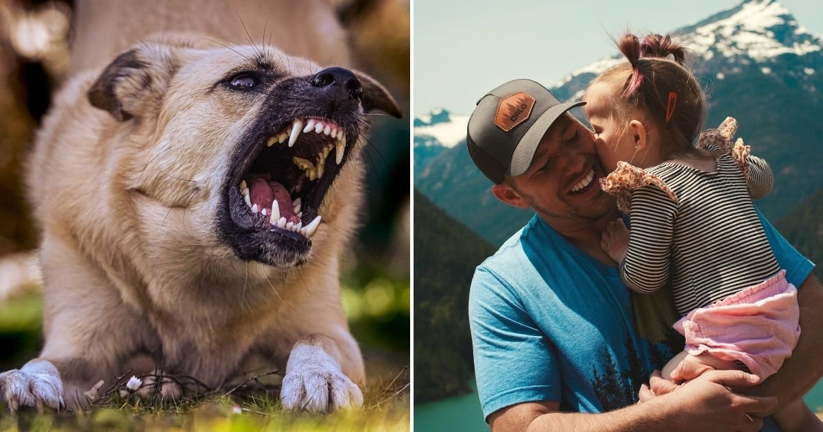 dog5.jpg?resize=412,232 - 'Our Neighbor's Dog Bit My Partner And Now He Wants Us To Pay $13,000 To Keep His Pets Away From Us'