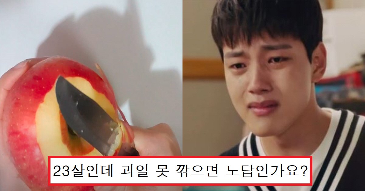 eab3bcec9dbcec8c88.png?fit=1024%2C538&ssl=1&strip=all - "님들 과일 깎을 줄 아세요?"... 커뮤니티서 난리 난, 요즘 과일 못 깎는 성인들