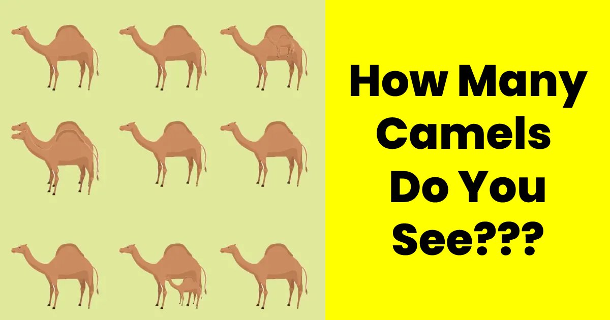 q5 1 1.png?resize=1200,630 - 9 Out Of 10 People Can't Correctly Count The Number Of Camels! What About You?