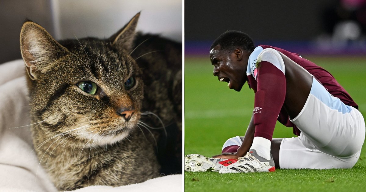 35.jpg?resize=1200,630 - "Is What He's Done WORSE Than Racism?"- Major Soccer Stars Come To Fellow Player's Defense After Being Accused Of Animal Abuse