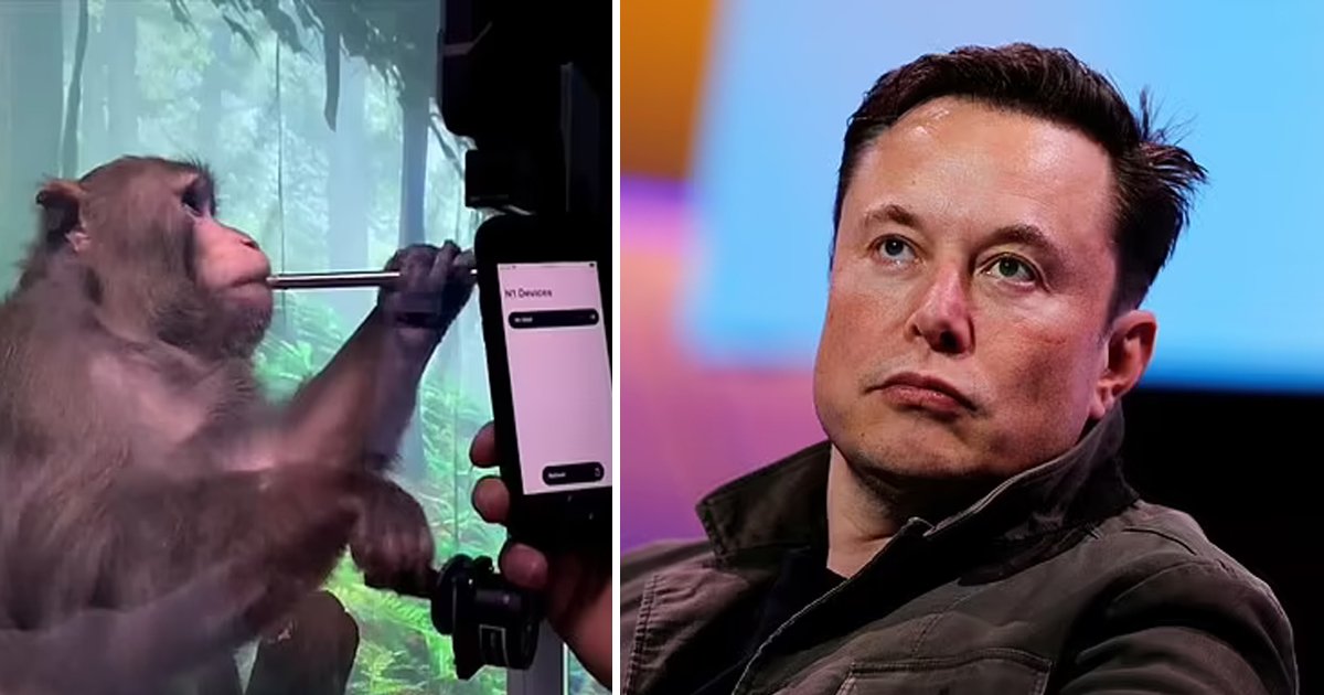 51.jpg?resize=1200,630 - JUST IN: Elon Musk's 'Neuralink' All Set To Implant 'Computer Chips' Into Human Brains Starting This Year
