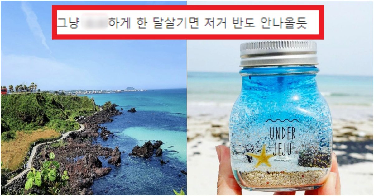 collage 149.jpg?resize=412,275 - "생각보다 싼데?" 제주도에서 한 달 살다가 온 유튜버의 총 경비 (+사진)