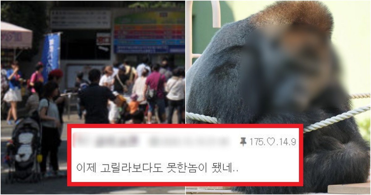 collage 19.jpg?resize=412,275 - '잘생겨봤자겠지..' 생각했다가 얼굴보면 잘생겨서, 하루에 여자 손님만 수 백명 온다는 고릴라수준