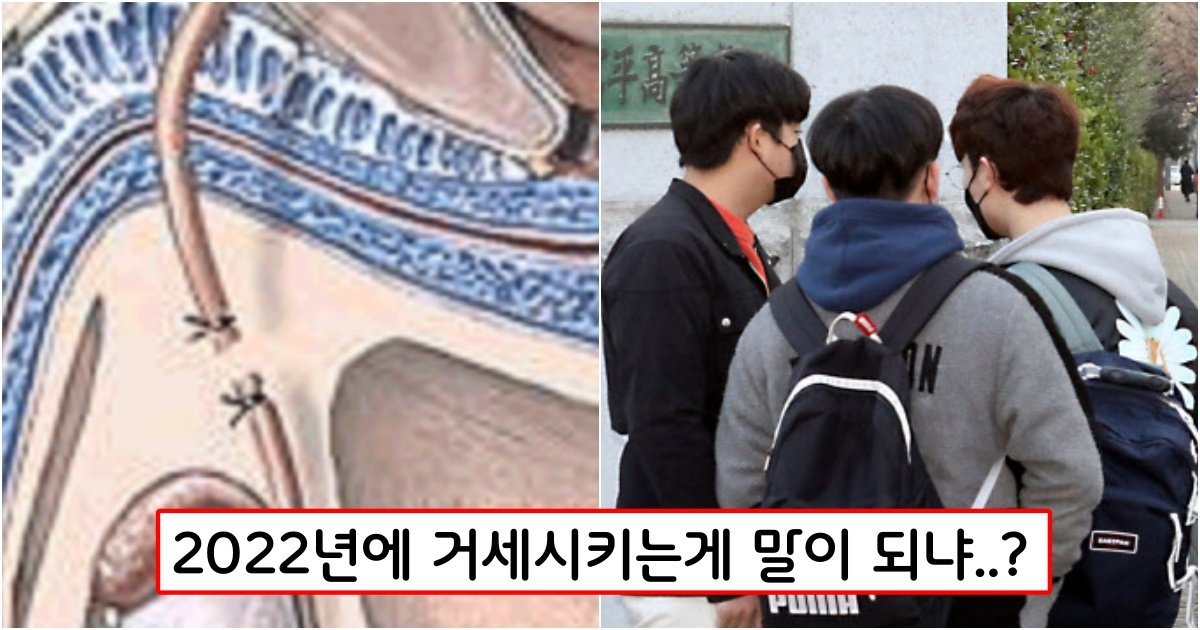 collage 316.jpg?resize=1200,630 - 요즘 남학생들이 자기의사완 상관없이 강제로 정관수술을 당하고 있는 충격적인 이유