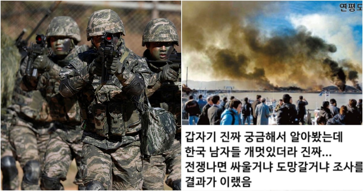 collage 414.jpg?resize=1200,630 - 전쟁나면 한국 남성들은 싸울지 도망갈지 소름돋는 조사 결과